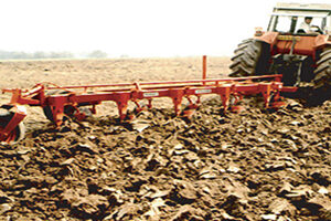 Fixed Mouldboard Ploughs